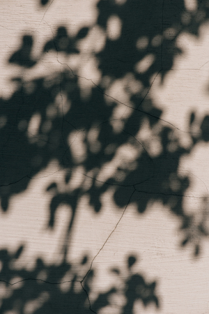 full frame image of wall with shadow of leaves background