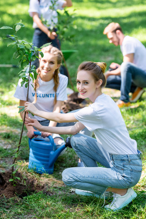 friends volunteering and planting new trees in parkの写真素材