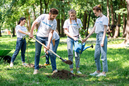 friends planting new trees in parkの写真素材