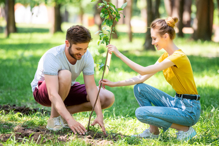 young couple planting new tree in parkの写真素材