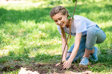 attractive volunteer planting new tree in parkの写真素材