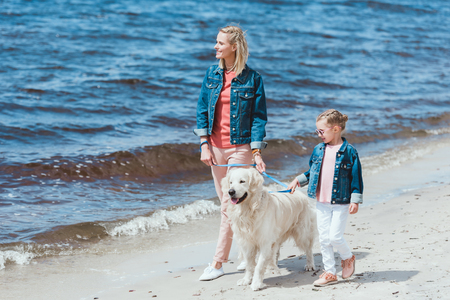 beautiful family with golden retriever dog on walk near the seaの写真素材