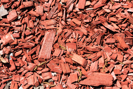 close-up view of red wooden chips backgroundの写真素材