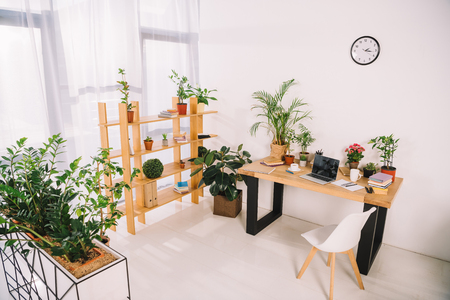interior of business office with green plantsの写真素材