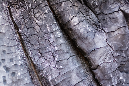 close-up view of old burned wooden background