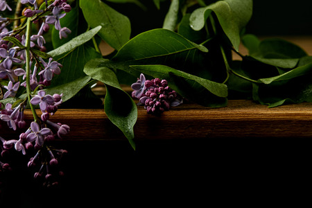 close-up shot of aromatic lilac flowers and leaves on wooden surface isolated on black