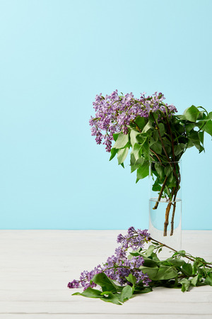 close-up shot of beautiful spring lilac flowers in glass isolated on blueの写真素材