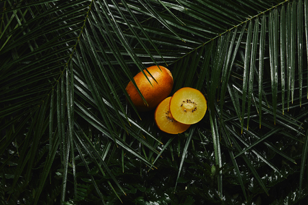 close-up view of whole and sliced yellow kiwi and beautiful green wet tropical leaves