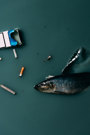 top view of fish, plastic bottle and cigarettes flowing in water, environmental protection concept