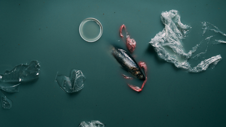 top view of fish, plastic bottles and packages flowing in water, ecology protection concept