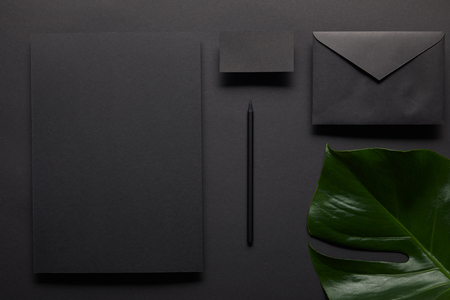 Business mock up with black notebook on black background with monstera leafの写真素材