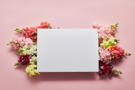 top view of beautiful tender flowers and blank card on pinkの写真素材