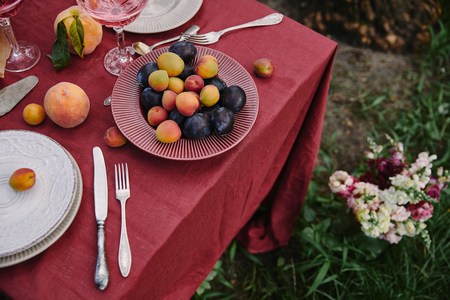 high angle view of plate with plums and apricots on table in gardenの写真素材