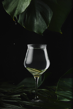 close-up view of glass with refreshing beverage and lemon slices, green leaves and water drops on blackの写真素材