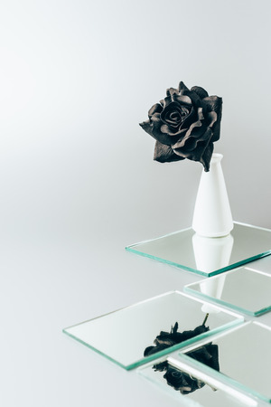one black rose in vase reflecting in mirrors isolated on whiteの写真素材