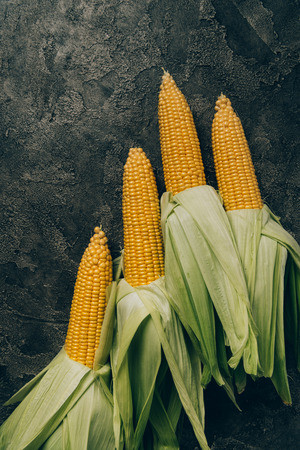 top view of four corn cobs on grey dark tableの写真素材