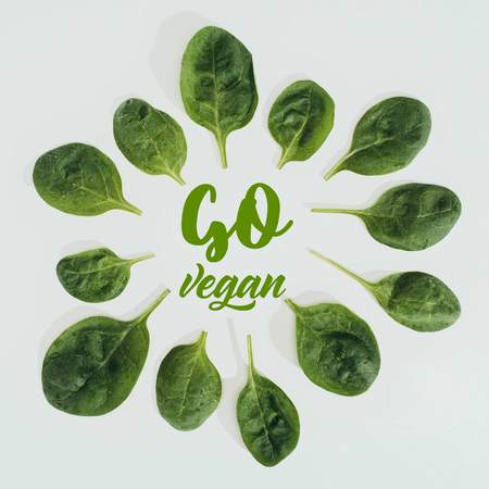 top view of beautiful fresh green leaves and words go vegan isolated on greyの写真素材