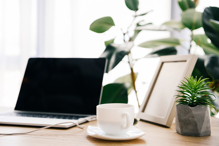 closeup view of coffee cup, laptop, potted plants and photo frame on tableの写真素材
