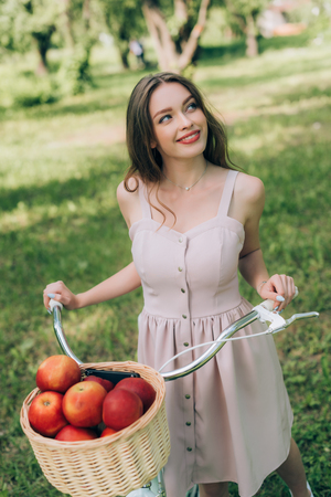 pretty smiling woman in dress holding retro bicycle with wicker basket full of ripe apples at countrysideの写真素材
