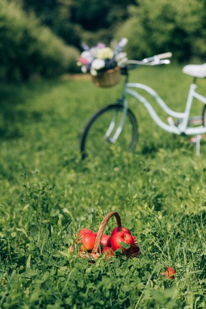 selective focus of wicker basket with ripe apples and retro bicycle parked behind at countrysideの写真素材