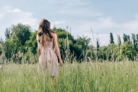 back view of woman in stylish dress standing in meadow with blue sky on backgroundの写真素材