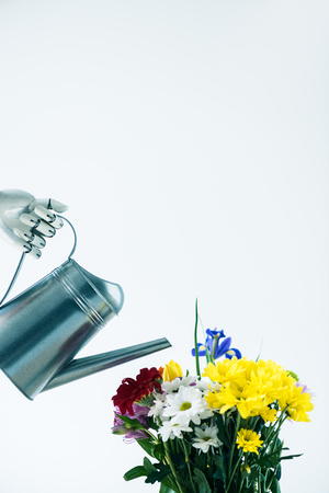 hand of robot holding watering can and beautiful blooming flowers isolated on whiteの写真素材