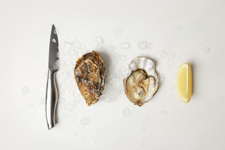 Oysters with lemon and knife on white table with iceの写真素材