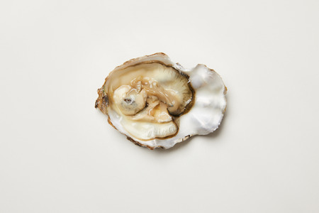 Open fresh oyster clam isolated on white