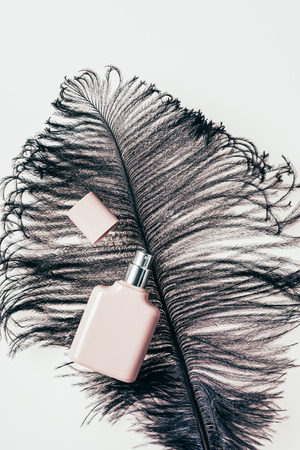 top view of bottle of perfume on whiteの写真素材