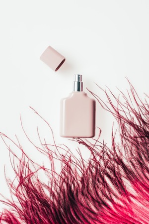 top view of bottle of perfume with red feather on whiteの写真素材