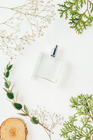 top view of bottle of perfume with green branches and flowers on whiteの写真素材
