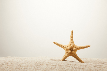 close up view of sea star on sand on grey backgroundの写真素材