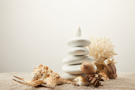 close up view of arranged white sea stones and seashells on sand on grey backgroundの写真素材