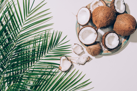 top view of gourmet organic coconuts and green palm leaves on whiteの写真素材