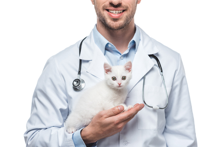 cropped image of male veterinarian with kitten isolated on white backgroundの写真素材