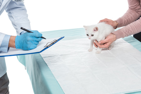 cropped image of woman with kitten and male veterinarian writing diagnosis in clipboard isolated on white backgroundの写真素材