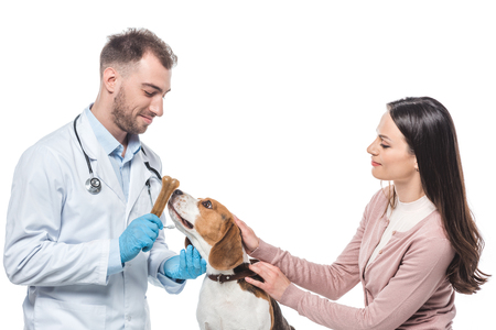 young woman holding beagle while veterinarian giving it bone isolated on white backgroundの写真素材