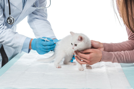cropped image of woman holding kitten while veterinarian doing injection by syringe isolated on white backgroundの写真素材