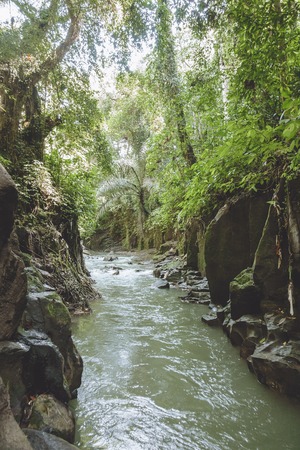 scenic view of river, rocky formations and green plants near Kanto Lampo Waterfall, Bali, Indonesiaの写真素材