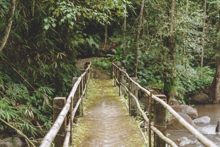 scenic view of bridge over river and various trees with green foliage, Bali, Indonesia