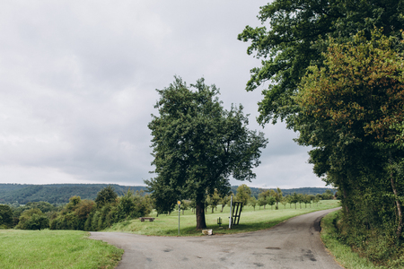 scenic view of park with green trees in stuttgart, germanyの写真素材