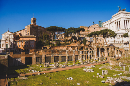 roman forum ruins on sunny day, Rome, Italy