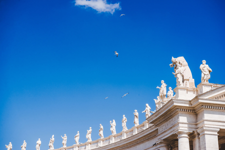 bottom view of birds flying above statues at St Peters Square in Vatican, Italyの写真素材