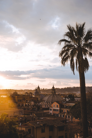 palm tree and buildings during sunset in Rome, Italyの写真素材