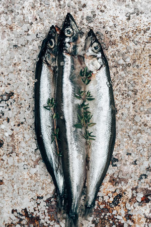 Three salted fish with rosemary on rustic surfaceの写真素材