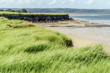grass field on cliff over seashore, Spirits Bay, New Zealand