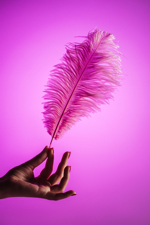 partial view of female hands with pink soft feather, isolated on pinkの写真素材