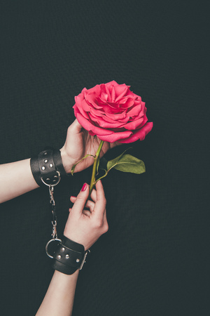 Female hands in leather handcuffs holding rose flower isolated on blackの写真素材