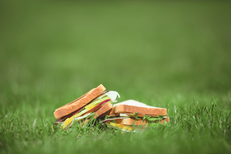 closeup shot of two sandwiches on green grassの写真素材
