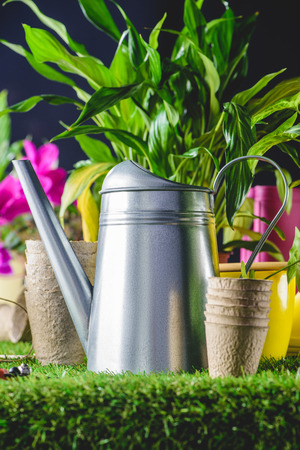 closeup view of watering can and flower pots on grassの写真素材